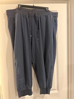 LIVI Active Plus Size 22/24 Navy Jogger Pants Mesh Trim Athleisure
